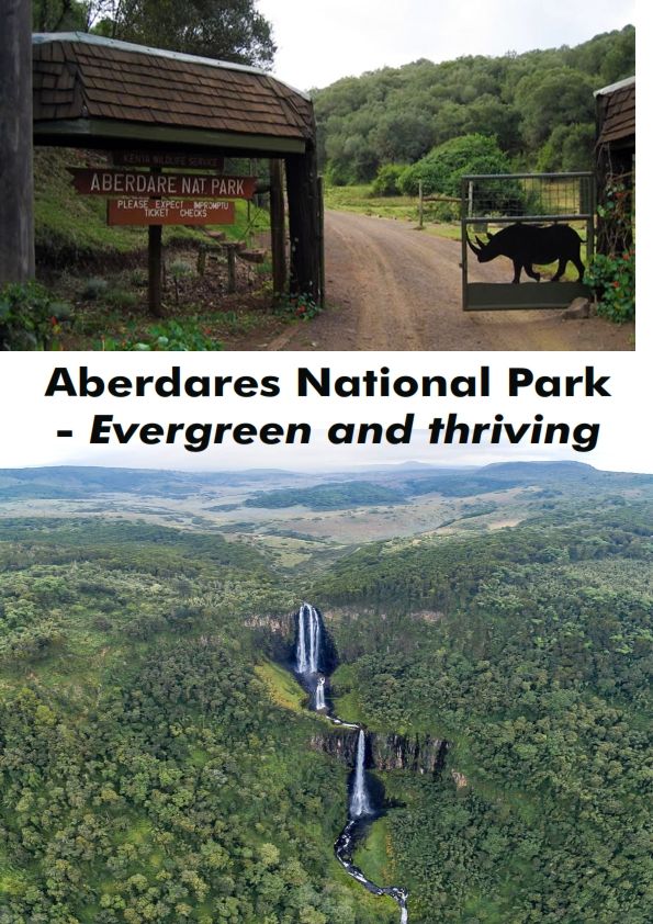 naivasha title small