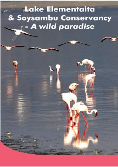 naivasha title small