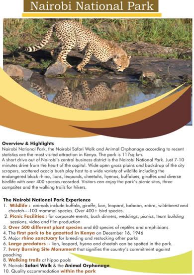 naivasha title small