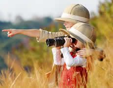 Specialty Travel Themes