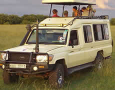 Wildlife Safaris