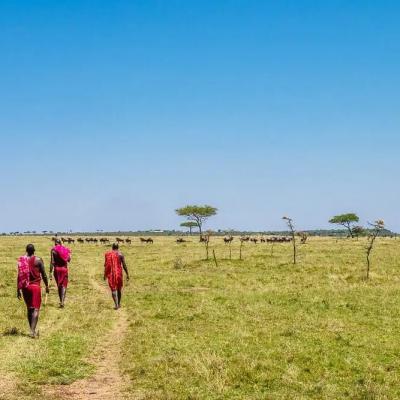 Red Maasai2