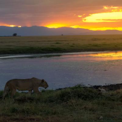 Intrepid Kenya3